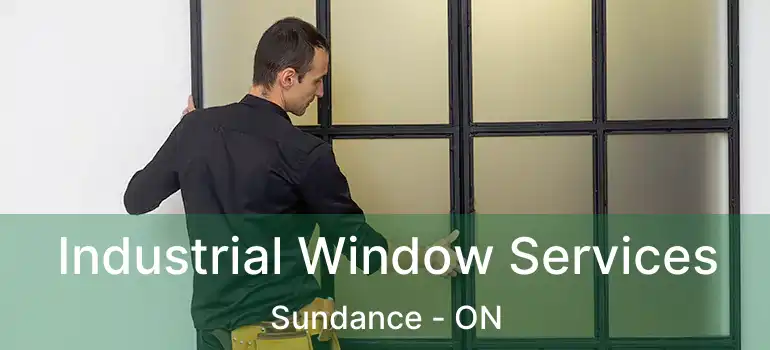  Industrial Window Services Sundance - ON