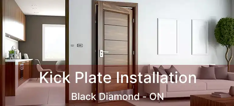  Kick Plate Installation Black Diamond - ON