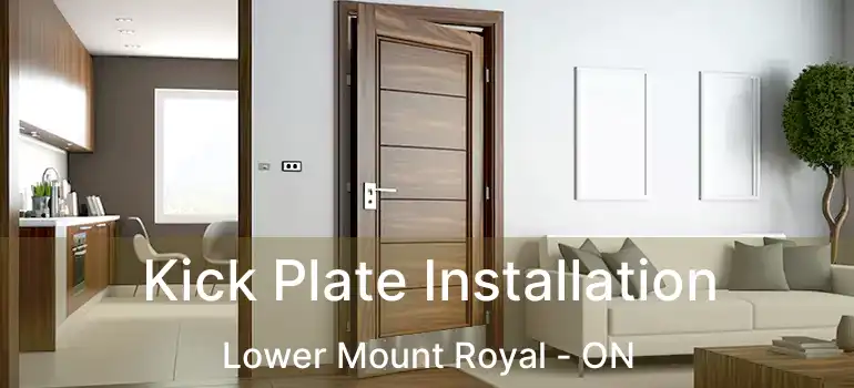  Kick Plate Installation Lower Mount Royal - ON