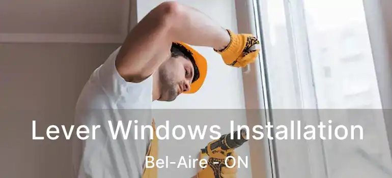  Lever Windows Installation Bel-Aire - ON