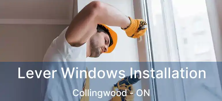  Lever Windows Installation Collingwood - ON