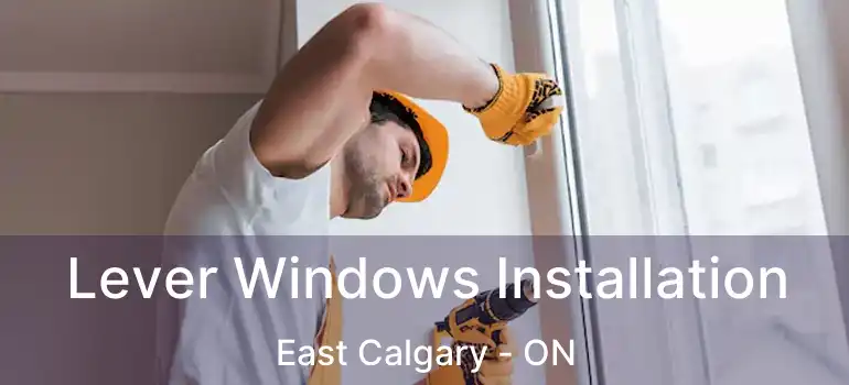  Lever Windows Installation East Calgary - ON