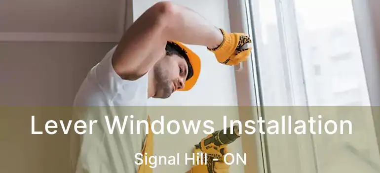  Lever Windows Installation Signal Hill - ON