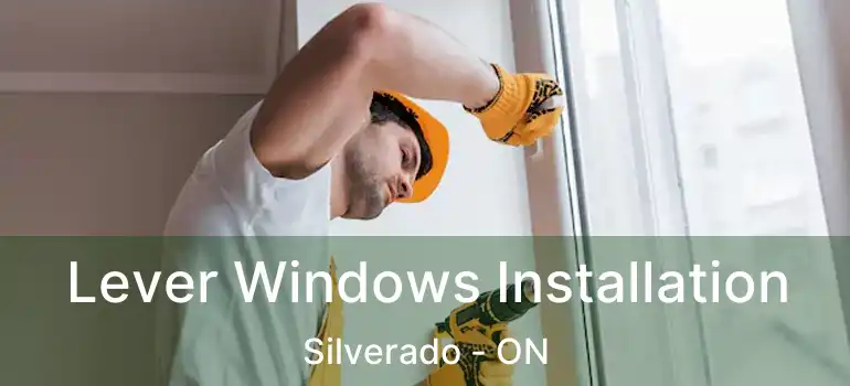  Lever Windows Installation Silverado - ON