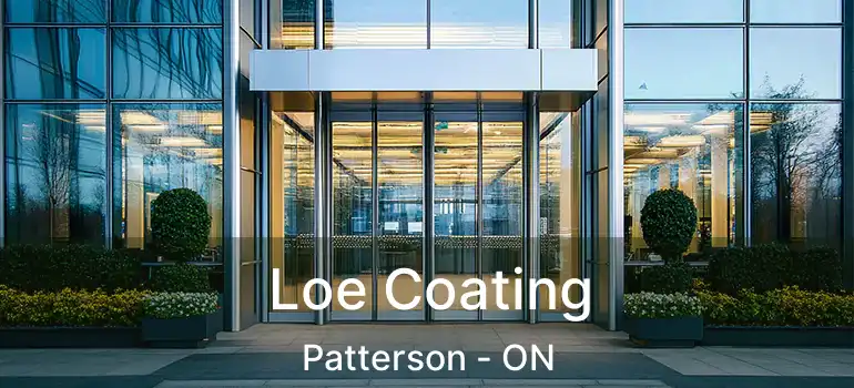  Loe Coating Patterson - ON