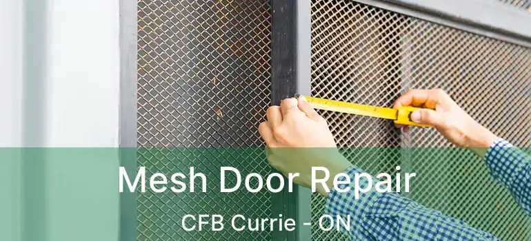 Mesh Door Repair CFB Currie - ON