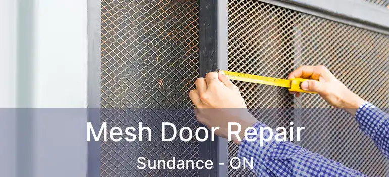  Mesh Door Repair Sundance - ON