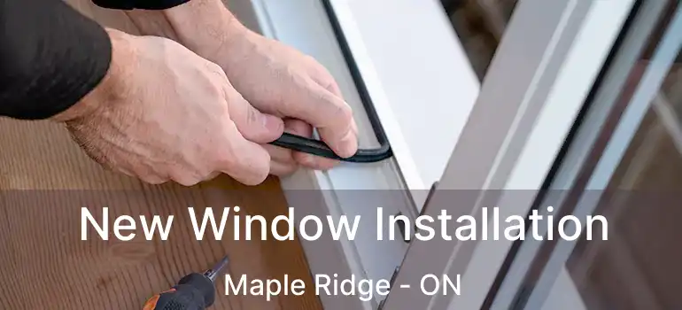  New Window Installation Maple Ridge - ON