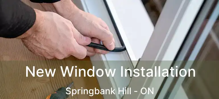  New Window Installation Springbank Hill - ON