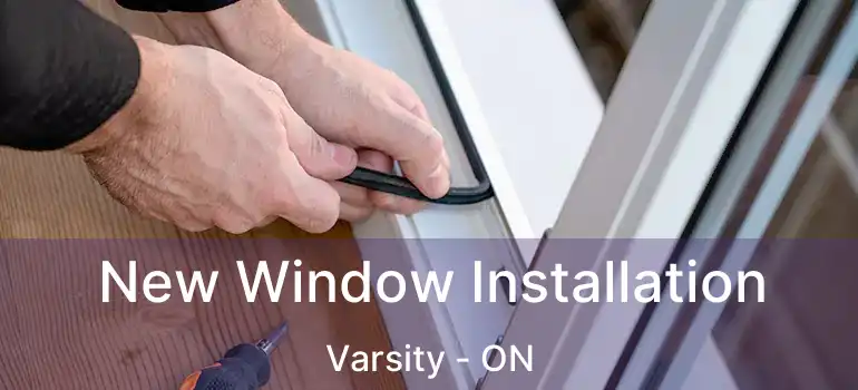  New Window Installation Varsity - ON