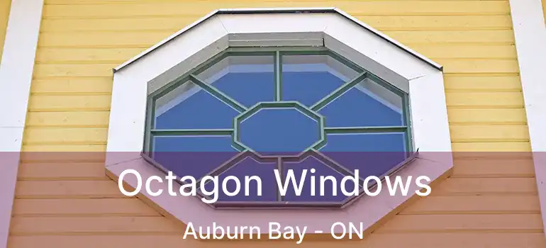  Octagon Windows Auburn Bay - ON
