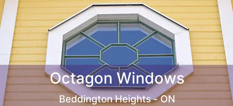  Octagon Windows Beddington Heights - ON