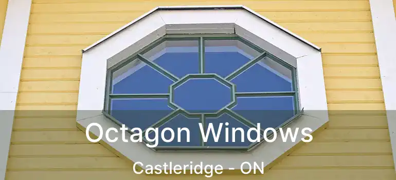  Octagon Windows Castleridge - ON