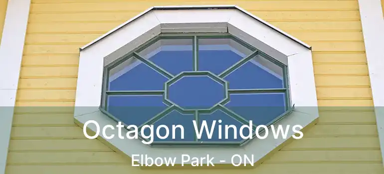  Octagon Windows Elbow Park - ON