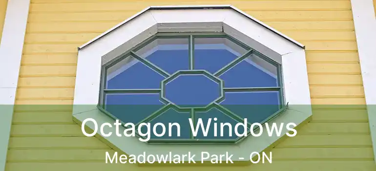  Octagon Windows Meadowlark Park - ON