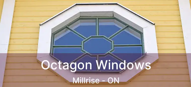  Octagon Windows Millrise - ON