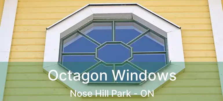  Octagon Windows Nose Hill Park - ON