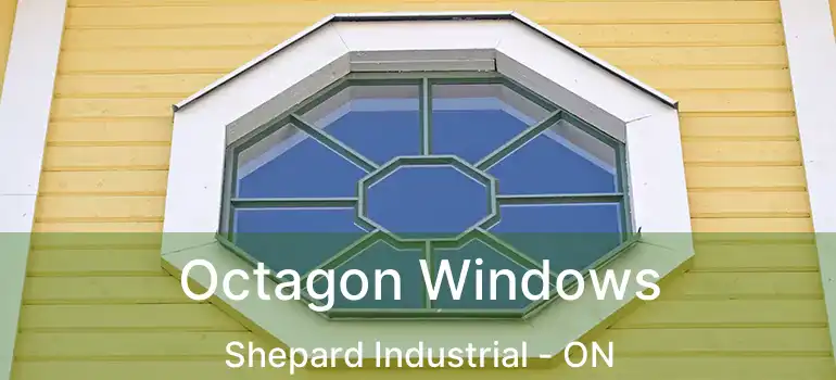  Octagon Windows Shepard Industrial - ON
