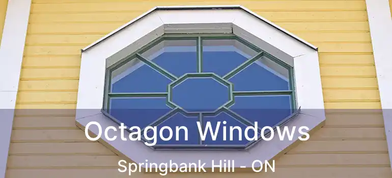  Octagon Windows Springbank Hill - ON