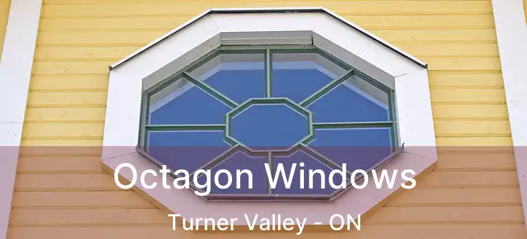  Octagon Windows Turner Valley - ON