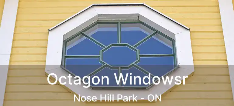  Octagon Windowsr Nose Hill Park - ON