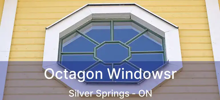  Octagon Windowsr Silver Springs - ON