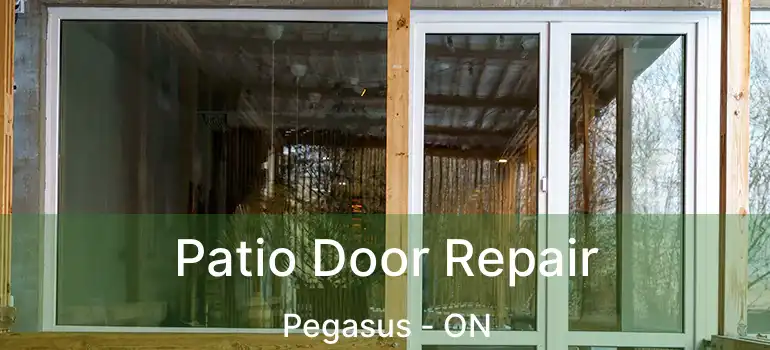  Patio Door Repair Pegasus - ON