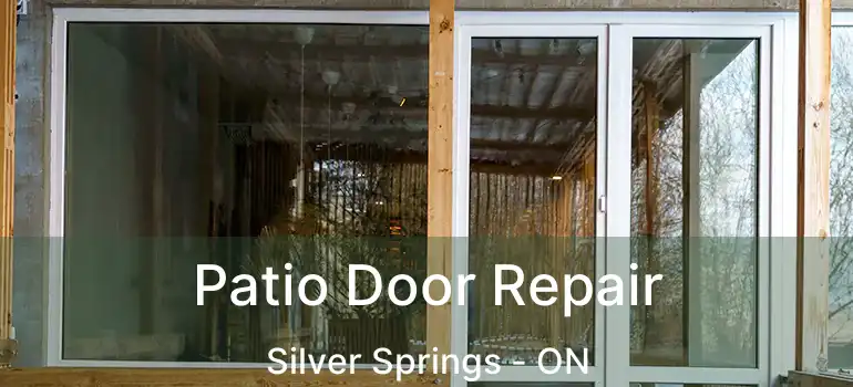  Patio Door Repair Silver Springs - ON