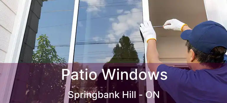  Patio Windows Springbank Hill - ON