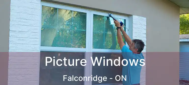  Picture Windows Falconridge - ON