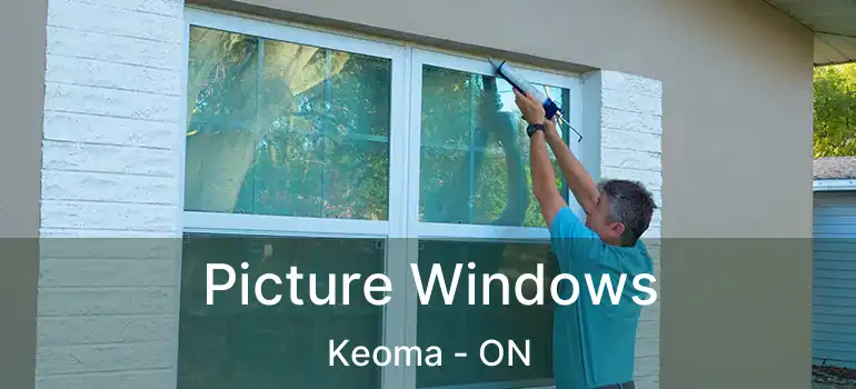  Picture Windows Keoma - ON