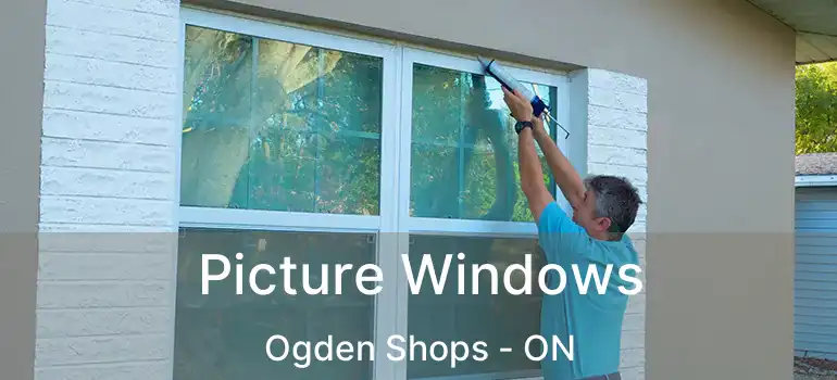  Picture Windows Ogden Shops - ON