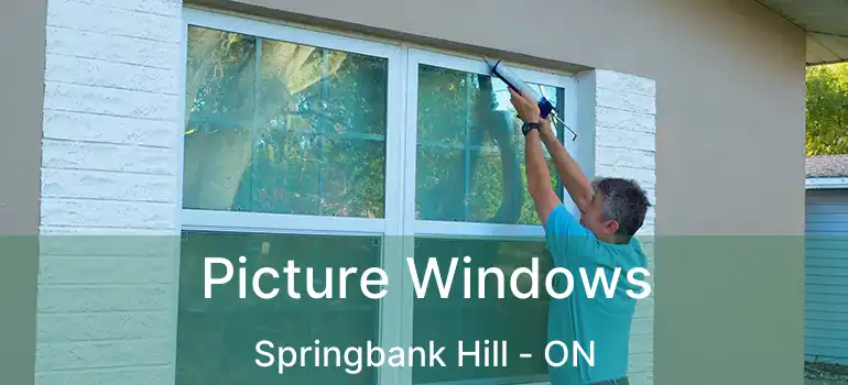  Picture Windows Springbank Hill - ON