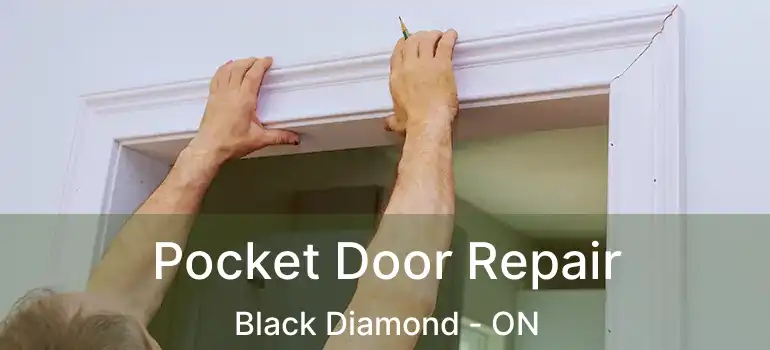  Pocket Door Repair Black Diamond - ON
