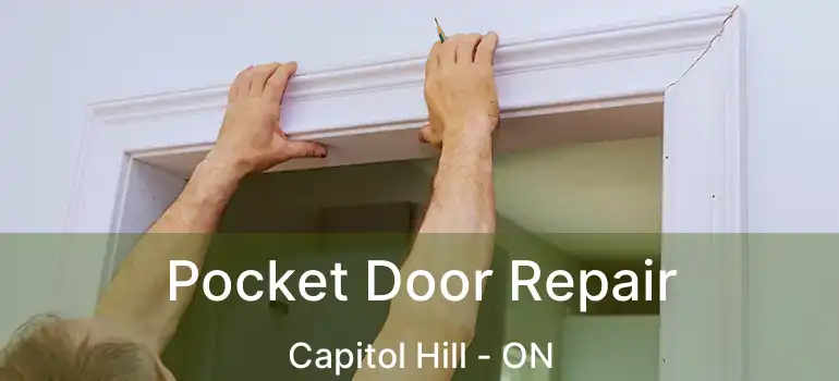  Pocket Door Repair Capitol Hill - ON