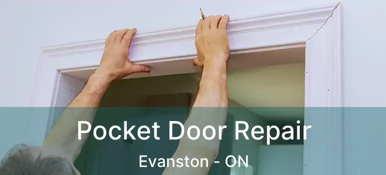  Pocket Door Repair Evanston - ON