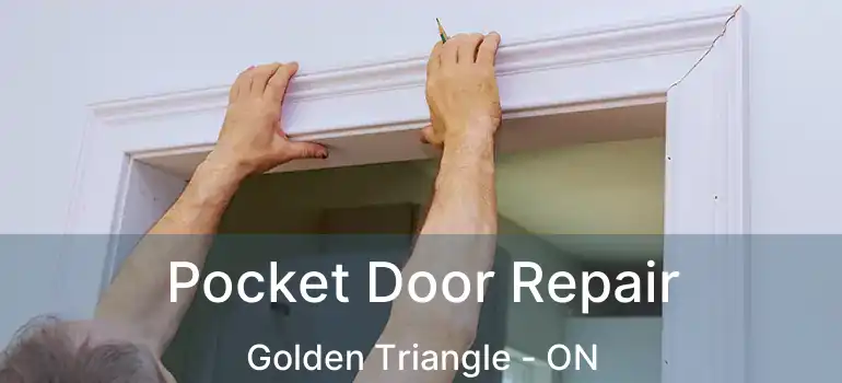  Pocket Door Repair Golden Triangle - ON