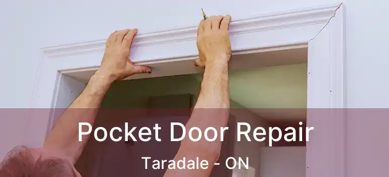  Pocket Door Repair Taradale - ON