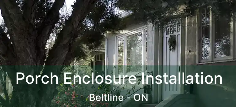  Porch Enclosure Installation Beltline - ON