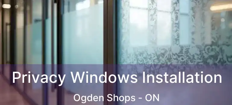  Privacy Windows Installation Ogden Shops - ON