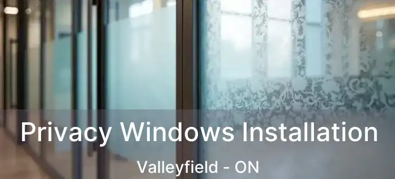  Privacy Windows Installation Valleyfield - ON
