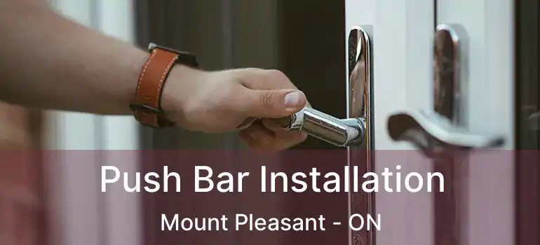  Push Bar Installation Mount Pleasant - ON