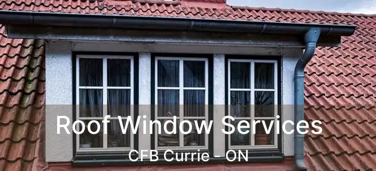  Roof Window Services CFB Currie - ON