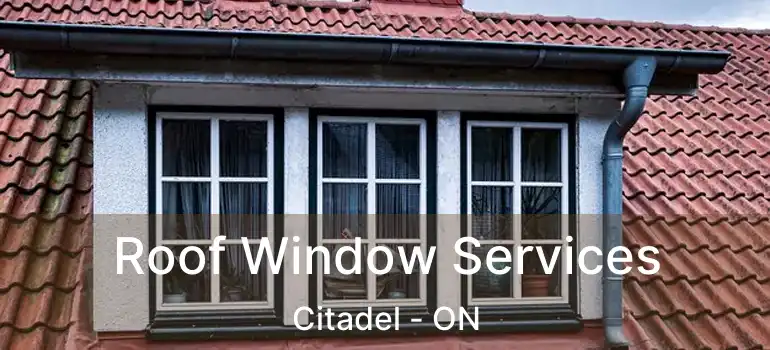  Roof Window Services Citadel - ON