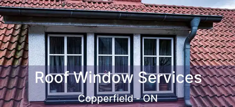  Roof Window Services Copperfield - ON