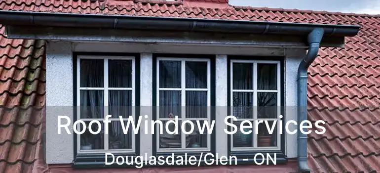  Roof Window Services Douglasdale/Glen - ON
