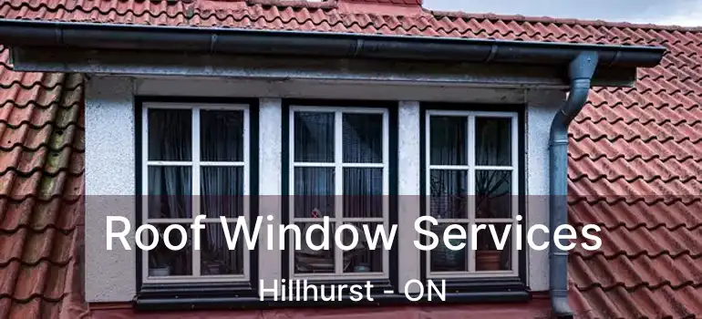  Roof Window Services Hillhurst - ON