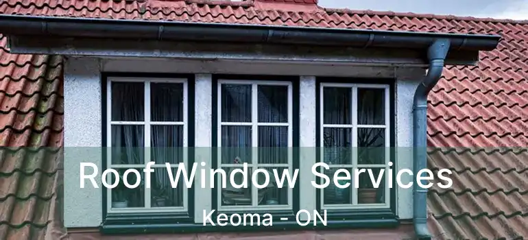  Roof Window Services Keoma - ON