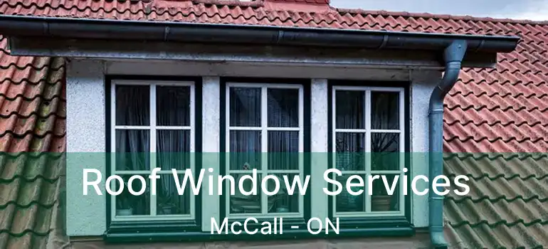  Roof Window Services McCall - ON