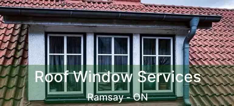  Roof Window Services Ramsay - ON